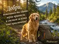 Картичка за Добри със златен ретривър, планина и приключенско пожелание
