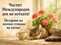 Топла картичка с таби котарак за Международния ден на котките