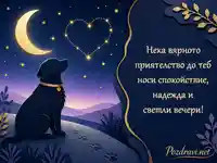 Нежна картичка за Международния ден на кучетата с вярно куче под звездна луна