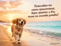 Слънчево пожелание за Международния ден на кучетата
