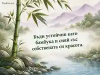 Бамбук край спокойна река с послание за устойчивост