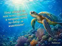 Морска костенурка и коралов риф за Световния ден на животните