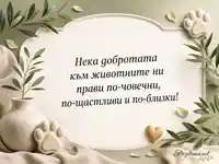 Нежна картичка за Световен ден на животните с лапички, листа и златно сърце