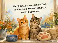Топла картичка с котки за Световния ден на животните