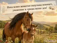 Топла картичка за Световния ден на животните с кобила и конче