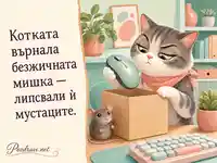 Котката и безжичната мишка – забавна картичка за усмивка