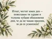 Имен ден на Игнат с маслинови клонки и пожелание за здраве