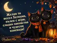 Весел Хелоуин с две черни котки, светещ фенер и сладки изненади