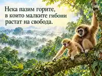 Международен ден на гибоните – малък гибон и родител в слънчева тропическа гора