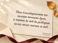 Точните думи за благодарност — Международен ден на ясния език