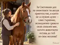 Световен ден на животните с кон и нежна грижа за приятелство без думи